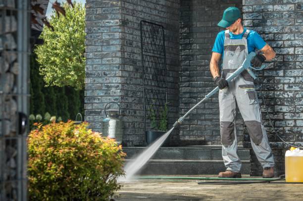 Best Animal Enclosure Cleaning  in Dimmitt, TX